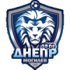Dnepr Mogilev logo