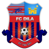 Dila Gori logo
